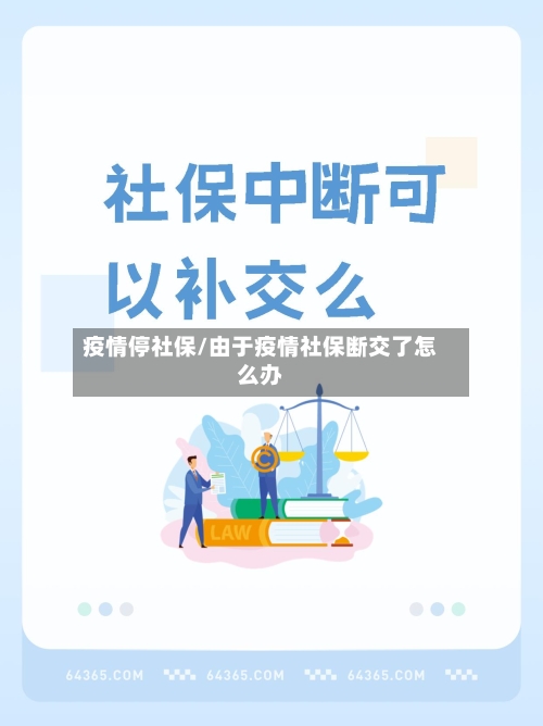 疫情停社保/由于疫情社保断交了怎么办