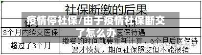 疫情停社保/由于疫情社保断交了怎么办-第2张图片