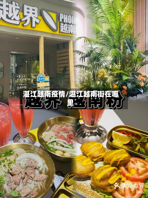 湛江越南疫情/湛江越南街在哪里-第2张图片