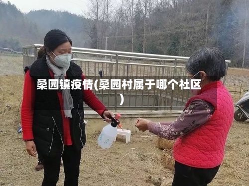 桑园镇疫情(桑园村属于哪个社区)-第2张图片