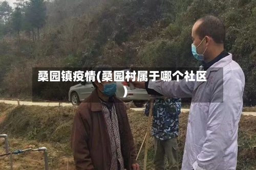桑园镇疫情(桑园村属于哪个社区)