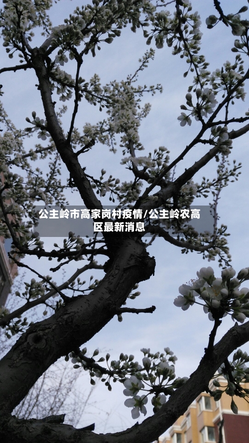 公主岭市高家岗村疫情/公主岭农高区最新消息-第2张图片