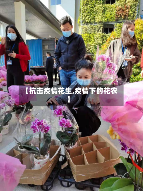 【抗击疫情花生,疫情下的花农】-第2张图片