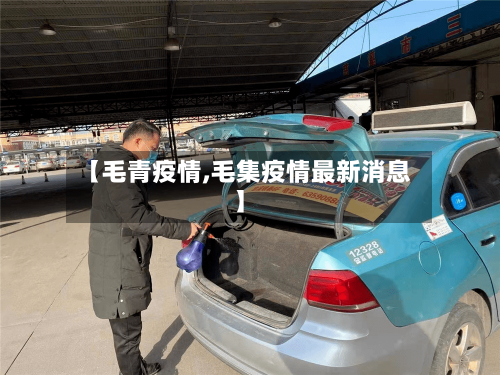【毛青疫情,毛集疫情最新消息】-第2张图片