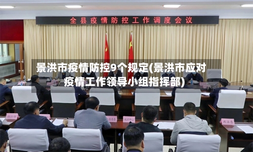 景洪市疫情防控9个规定(景洪市应对疫情工作领导小组指挥部)-第3张图片