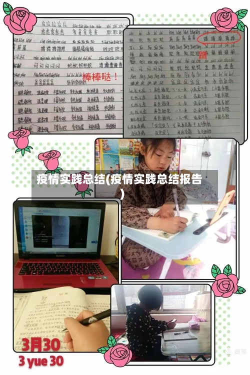 疫情实践总结(疫情实践总结报告)-第2张图片