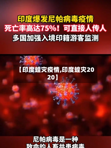 【印度蝗灾疫情,印度蝗灾2020】-第3张图片