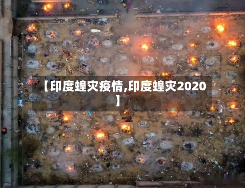 【印度蝗灾疫情,印度蝗灾2020】