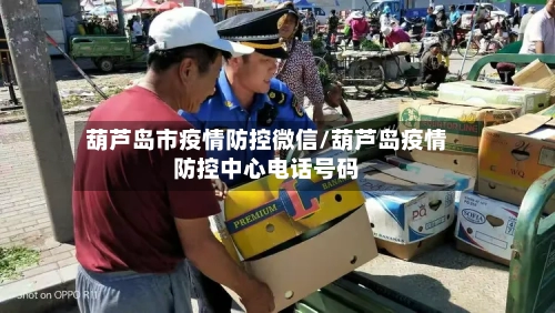 葫芦岛市疫情防控微信/葫芦岛疫情防控中心电话号码-第2张图片