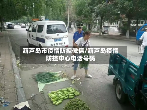 葫芦岛市疫情防控微信/葫芦岛疫情防控中心电话号码