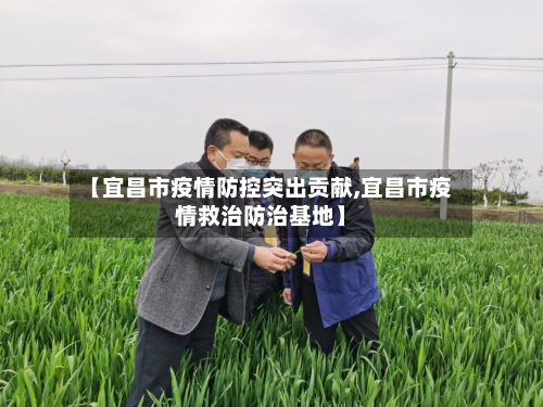 【宜昌市疫情防控突出贡献,宜昌市疫情救治防治基地】-第2张图片