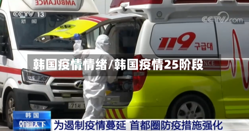 韩国疫情情绪/韩国疫情25阶段-第2张图片