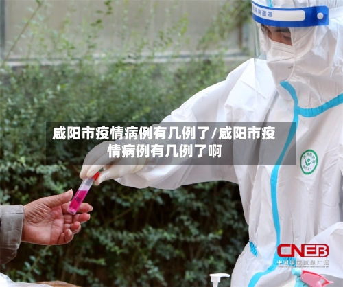 咸阳市疫情病例有几例了/咸阳市疫情病例有几例了啊