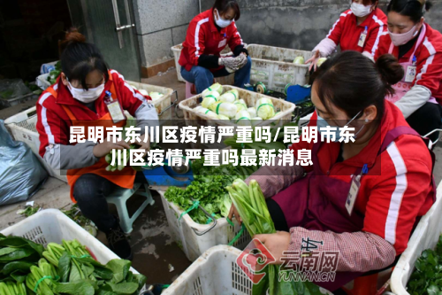 昆明市东川区疫情严重吗/昆明市东川区疫情严重吗最新消息-第3张图片