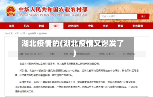 湖北疫情的(湖北疫情又爆发了)-第2张图片