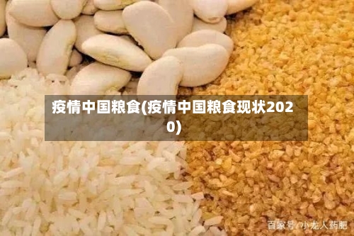 疫情中国粮食(疫情中国粮食现状2020)