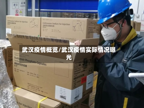 武汉疫情概览/武汉疫情实际情况曝光