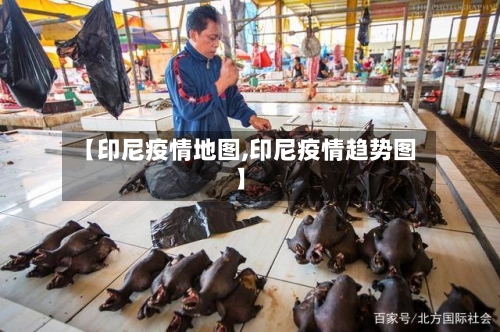 【印尼疫情地图,印尼疫情趋势图】-第2张图片