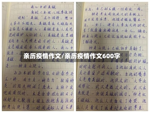 亲历疫情作文/亲历疫情作文600字