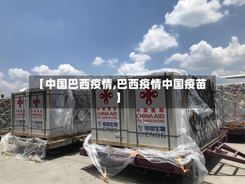 【中国巴西疫情,巴西疫情中国疫苗】-第2张图片