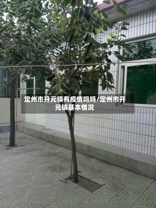 定州市开元镇有疫情吗吗/定州市开元镇基本情况