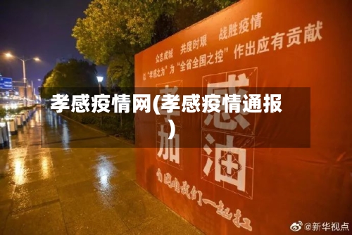 孝感疫情网(孝感疫情通报)-第2张图片