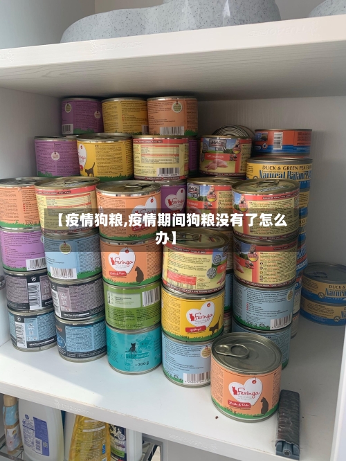 【疫情狗粮,疫情期间狗粮没有了怎么办】