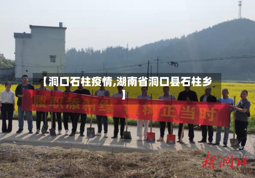 【洞口石柱疫情,湖南省洞口县石柱乡】-第2张图片
