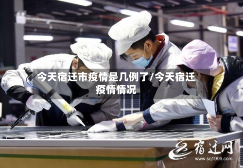 今天宿迁市疫情是几例了/今天宿迁疫情情况-第3张图片