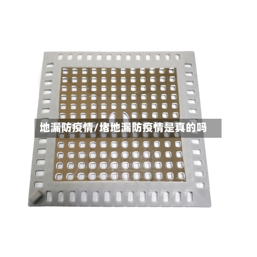 地漏防疫情/堵地漏防疫情是真的吗-第2张图片