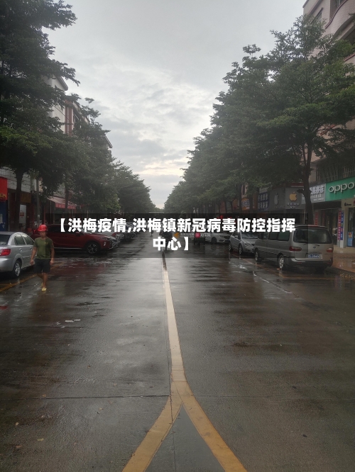 【洪梅疫情,洪梅镇新冠病毒防控指挥中心】-第2张图片