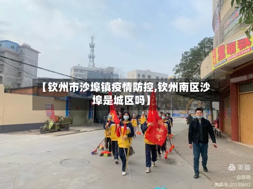 【钦州市沙埠镇疫情防控,钦州南区沙埠是城区吗】