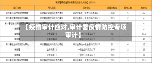 【疫情审计应对,审计署疫情防控专项审计】