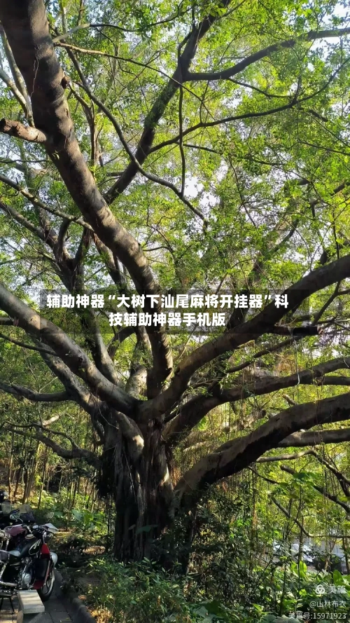 辅助神器“大树下汕尾麻将开挂器”科技辅助神器手机版-第2张图片