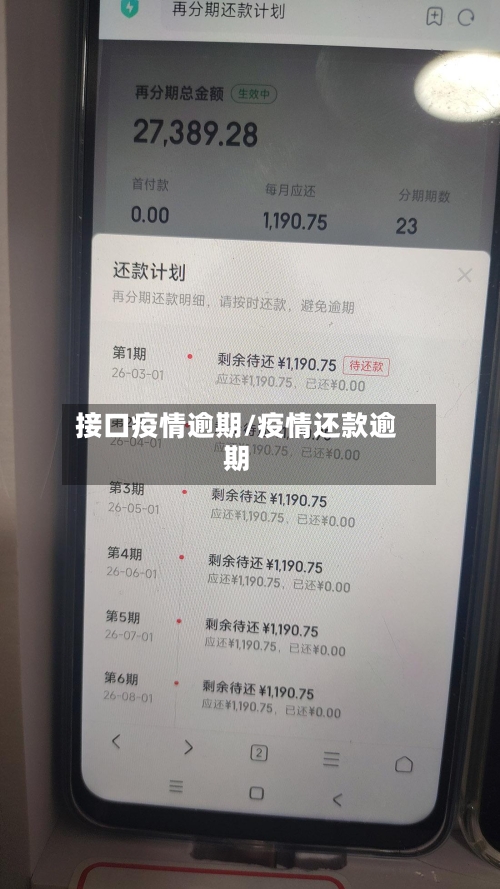 接口疫情逾期/疫情还款逾期-第3张图片