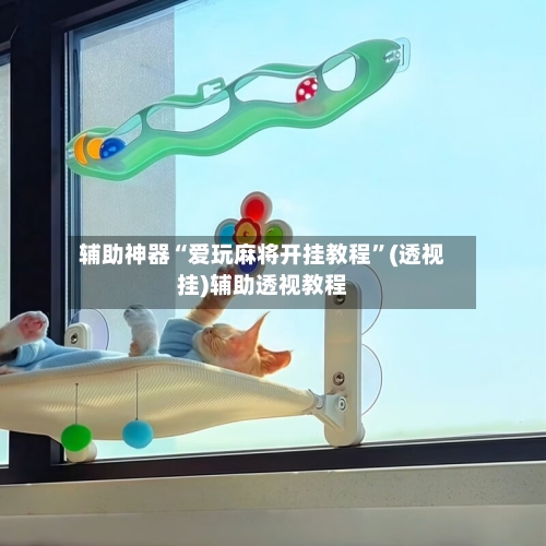 辅助神器“爱玩麻将开挂教程”(透视挂)辅助透视教程-第2张图片