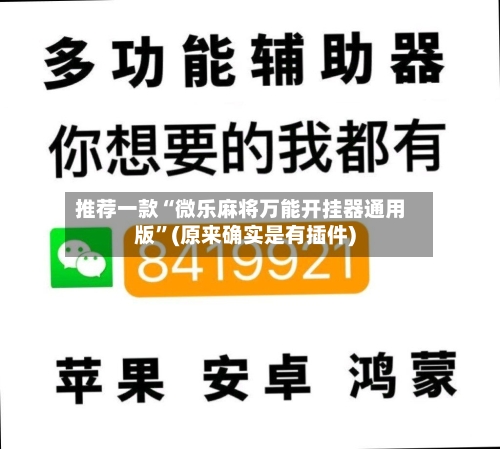 推荐一款“微乐麻将万能开挂器通用版”(原来确实是有插件)-第3张图片