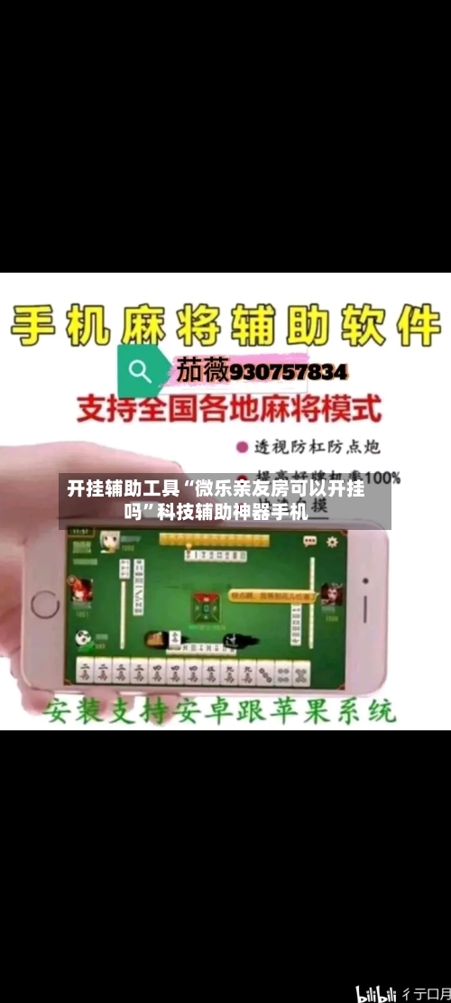开挂辅助工具“微乐亲友房可以开挂吗”科技辅助神器手机-第2张图片