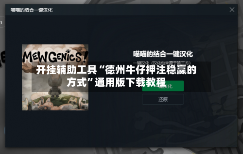 开挂辅助工具“德州牛仔押注稳赢的方式”通用版下载教程