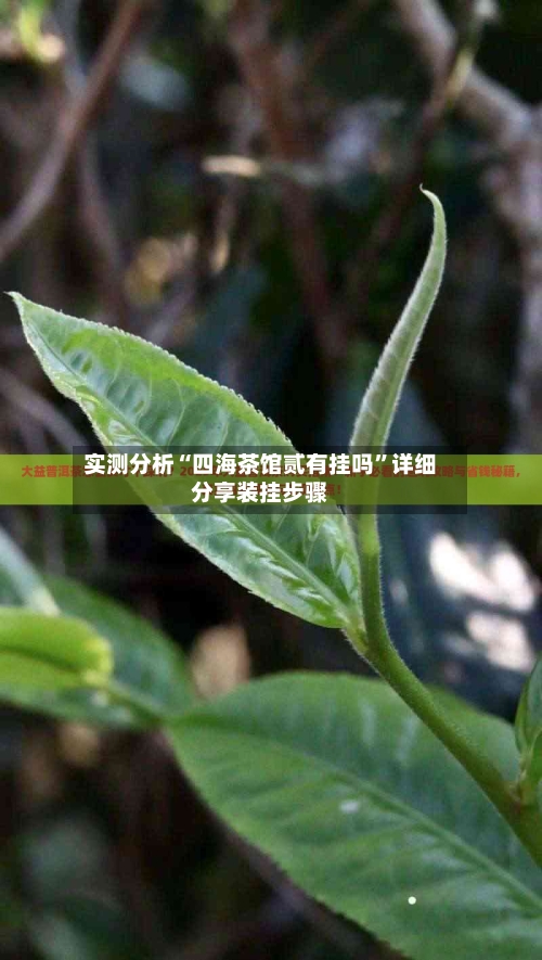 实测分析“四海茶馆贰有挂吗”详细分享装挂步骤