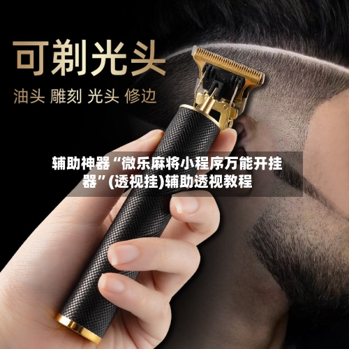 辅助神器“微乐麻将小程序万能开挂器”(透视挂)辅助透视教程-第2张图片