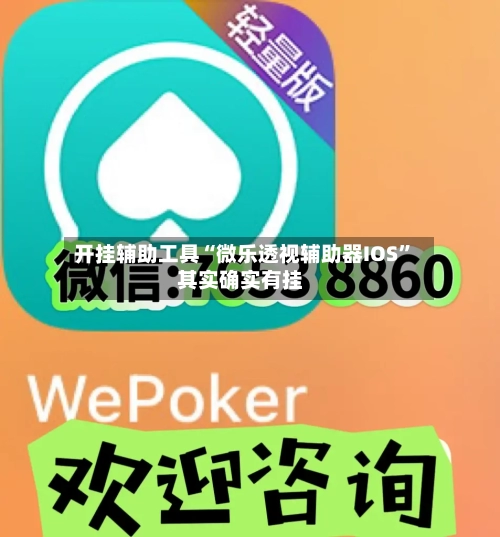 开挂辅助工具“微乐透视辅助器IOS”其实确实有挂-第2张图片