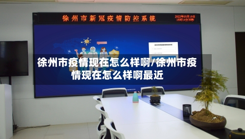 徐州市疫情现在怎么样啊/徐州市疫情现在怎么样啊最近-第3张图片