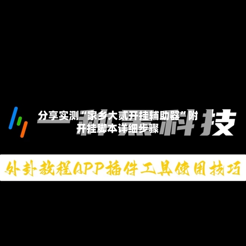 分享实测“家乡大贰开挂辅助器”附开挂脚本详细步骤-第3张图片