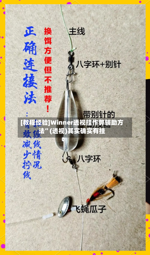 [教程经验]Winner透视挂作弊辅助方法”(透视)其实确实有挂