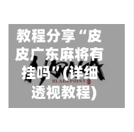 教程分享“皮皮广东麻将有挂吗”(详细透视教程)-第2张图片