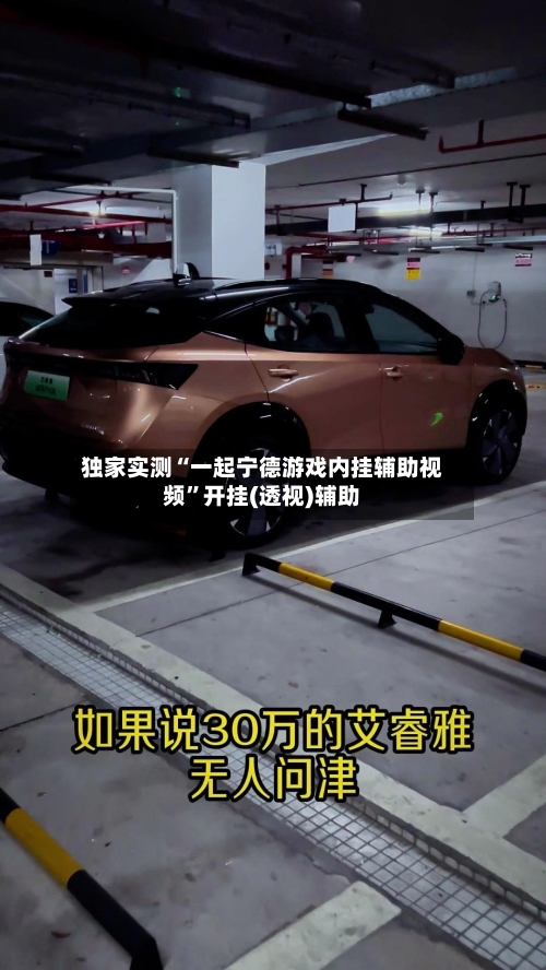 独家实测“一起宁德游戏内挂辅助视频”开挂(透视)辅助