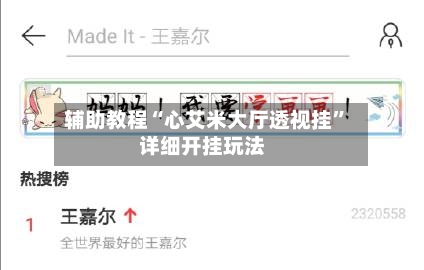 辅助教程“心艾米大厅透视挂”详细开挂玩法