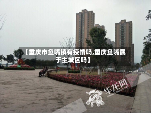 【重庆市鱼嘴镇有疫情吗,重庆鱼嘴属于主城区吗】-第2张图片