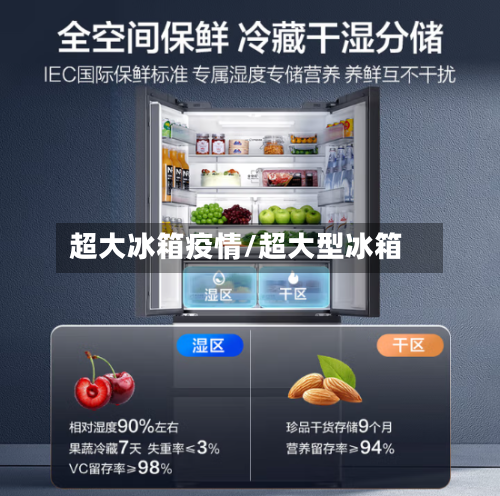 超大冰箱疫情/超大型冰箱-第2张图片